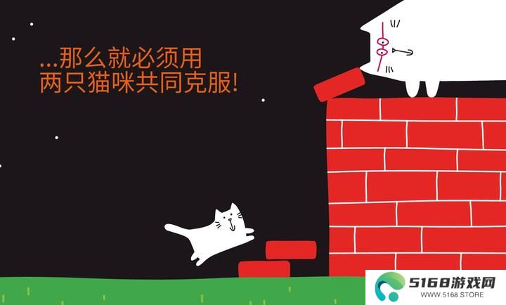 大猫和小猫