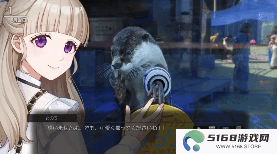 本站