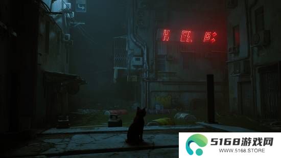 本站