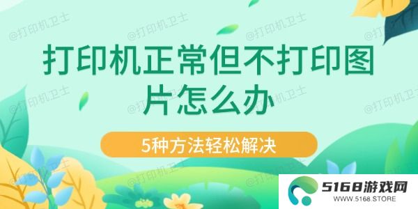 打印机正常但不打印图片怎么办